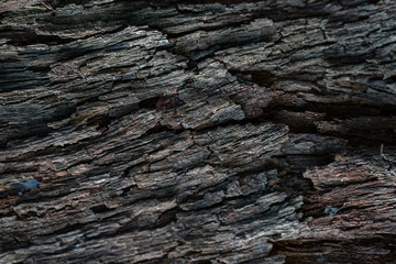 old wood texture for background or wallpapers