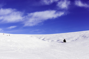 snow