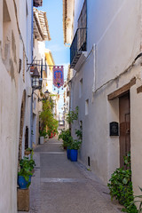 Calle Purisima, a typical Spanish street with old houses and lots of blue planters in Requena, Spain