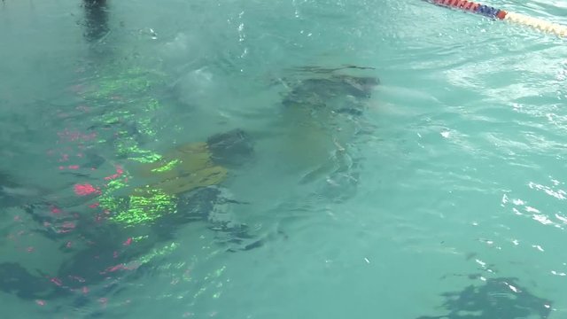 Two divers are trained in the pool. Learning to Scuba Dive in a Swimming Pool.  Discovery scuba diving course in deep pool