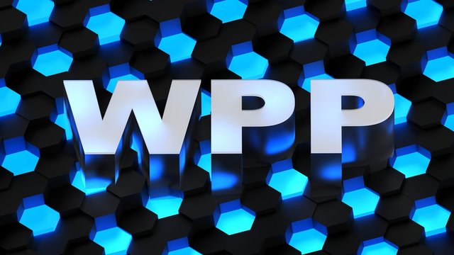 WPP acronym (Web presence provider)