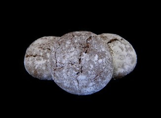 cookies isolated on black background