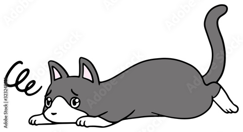 倒れた猫のイラスト ハチワレ 困り顔 Wall Mural Wallpaper Murals Mocha