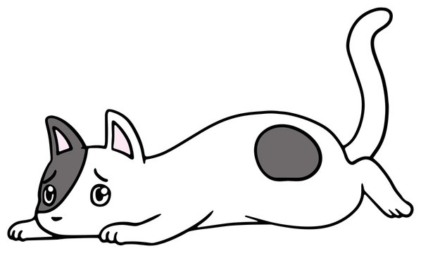 355 最適な ぶち猫 画像 ストック写真 ベクター Adobe Stock