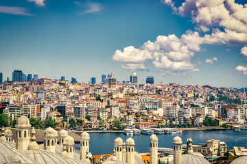 Naklejka premium Panorama of Istanbul