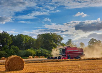 Image of a combine harvester in the evening sunshine.