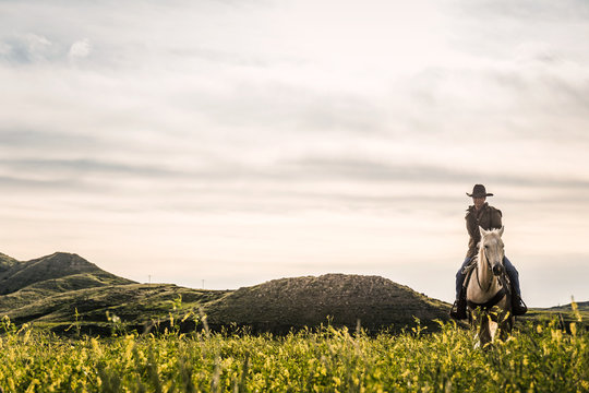 Cowboy on horseback herding cattle in pieceful prairie setting. Cody, Wyoming, USA