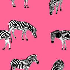 Zebra on pink background. Seamless pattern. Wild animal texture. design trendy fabric texture,  illustration.