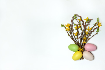 Easter composition. The bouquet consists of branches of forsythia with yellow flowers, willow with fluffy buds and colorful eggs on a white background. Free space.