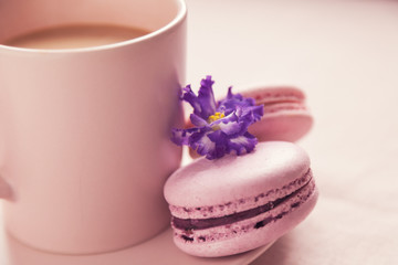 Two pink macaroons on the plate near cup with coffee