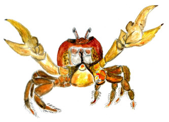 Cartoon crab in watercolor