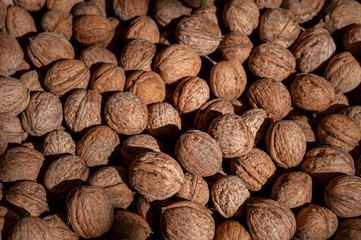 Natural walnut background pattern texture