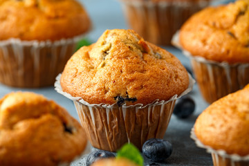 Blueberries muffins, cupcake with mint and berry