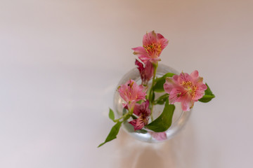 small bouquet of 3 pink astromeria flowers in a glass vase