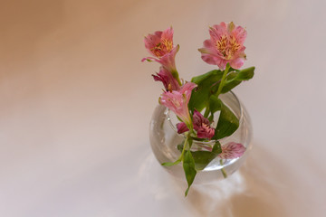 small bouquet of 3 pink astromeria flowers in a glass vase