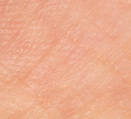 Lines on the skin of a human hand as a background