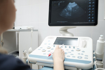 Doctor uses ultrasound scan in veterinary clinic