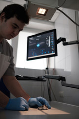 Fototapeta na wymiar Rodent having ultrasound scan in vet office.