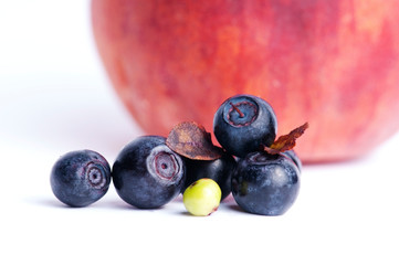 blueberry berry isolated on white background