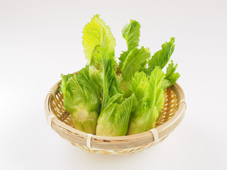 四川児菜（子持タカナ）