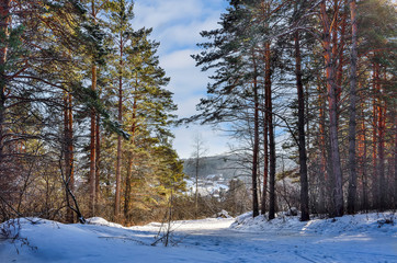  Snowy road through the winter pine forest to the cozy little village surrounded hills with  dense...