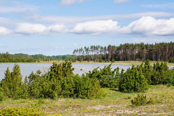 Beautiful coastal view of Saaretirp Cape in spring, Hiiumaa island, Estonia