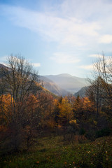 Beautiful autumn sunset in Borjomi, Georgia. Golden fall leaves and forest in the mountains.