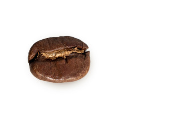 One coffee bean on a white background. Macro photography