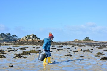 A young boy who is fishing at low tide in Brittany. France