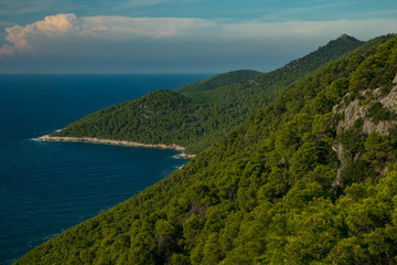 beautiful wooded coastline with mountains on Mljet Island, Croatia