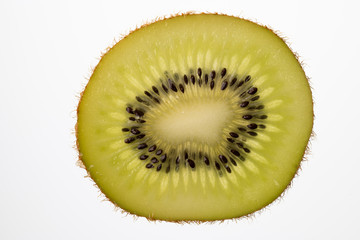 Slice of Kiwi fruit cut in backlight foto shot.