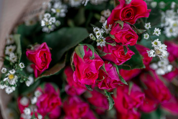 Close-up flower view(pink, red rose)that is beautifully decorated as a bouquet, placed on the table or garden to give on special days(Valentine,wedding)