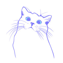 Obraz premium illustration of a cat