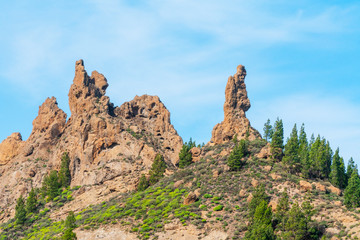 Landscape in Gran Canaria showing mountains and specific vegetation