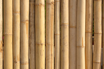 Fototapeta premium Old bamboo fence For background texture