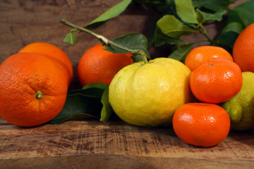 Fototapeta na wymiar fresh tangerines and lemons with green leaves on wooden table