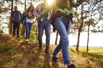 Young people with backpacks walking in the forest