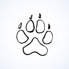 Traces of a bear. Vector drawing