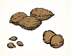 Series of vector illustrations of archaeological finds. Remains of linen, fruit stones and seeds