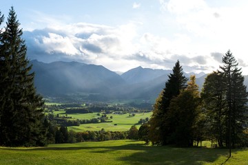 Sunny and overcast mountains in the background are frameed by some trees and some grass in the foreground