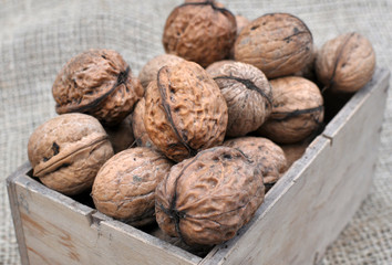 Walnuts in a wooden box and on a sacking