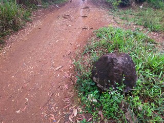 stone near the road