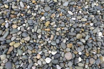 pebbles on the beach