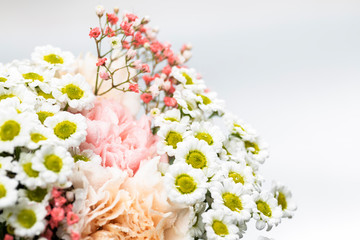 Still life of flowers on white background