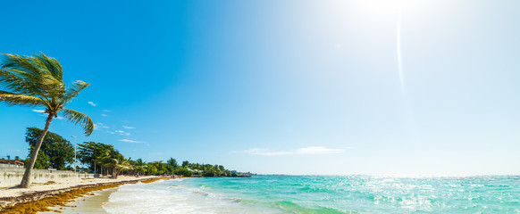Obraz na płótnie Canvas Sun shining over Raisins Clairs beach in Guadeloupe