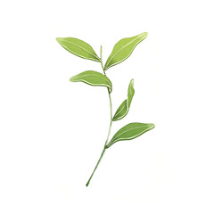 Green tweeg with leaves