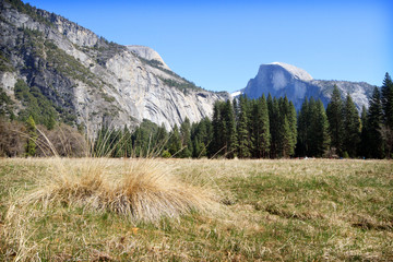 Half Dome seen from the Valley Floor in Yosemity Nationional Park