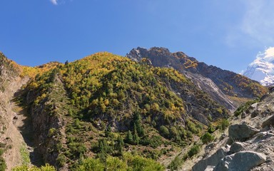 Fototapeta na wymiar Hiking in Pakistan - Rakaposhi basecamp trek in the Karakoram area 