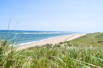 Fototapeta na wymiar sand dunes on the beach