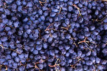 Grape